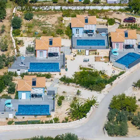 Willa Dandelion Mousata